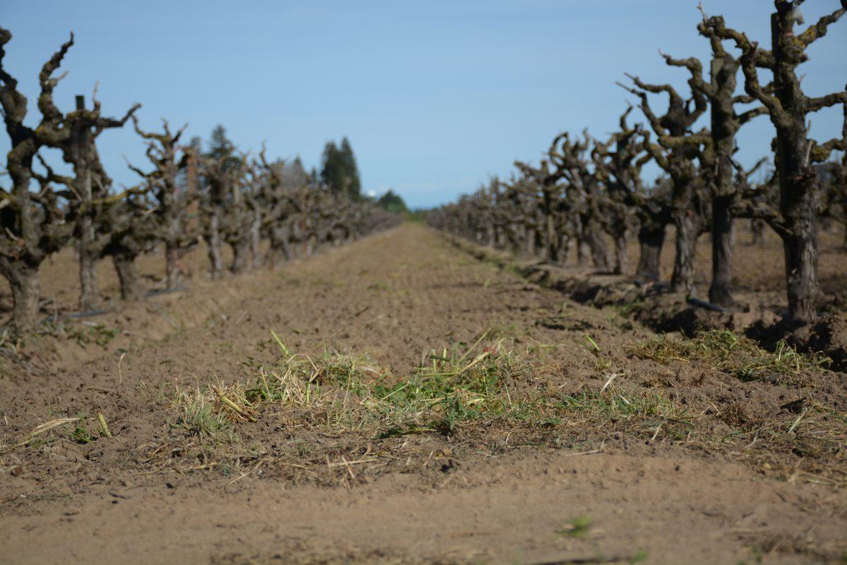 Dry conditions make it hard for lawns, and farms, to stay green.