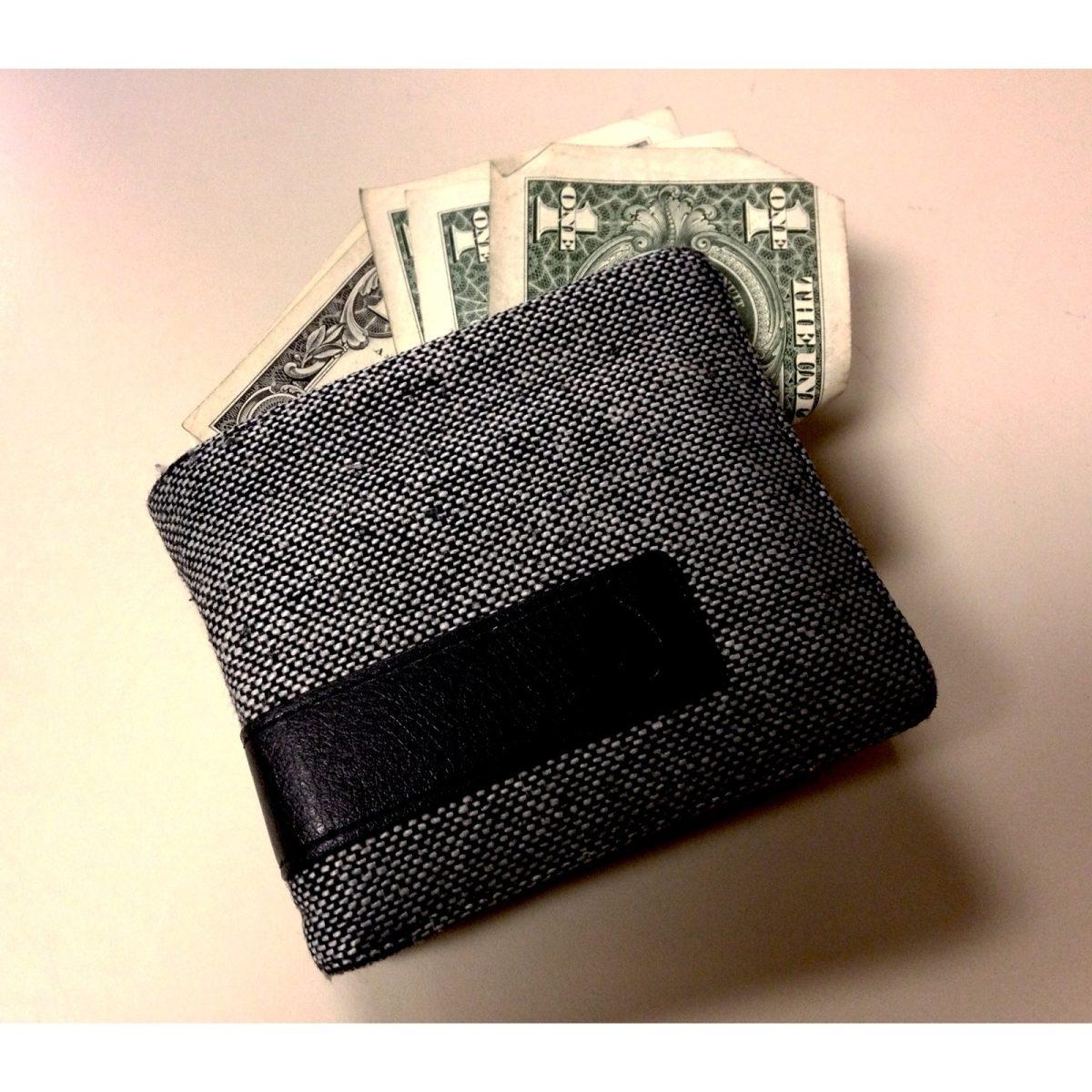 <p>A student wallet with limited funds</p>