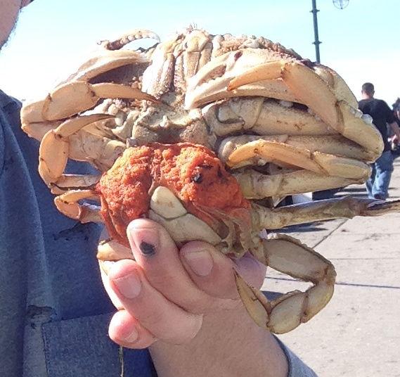 California Crabbing Season Closes