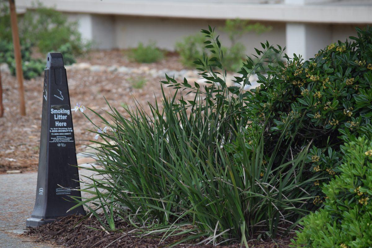 a smoking litter box near the music department.