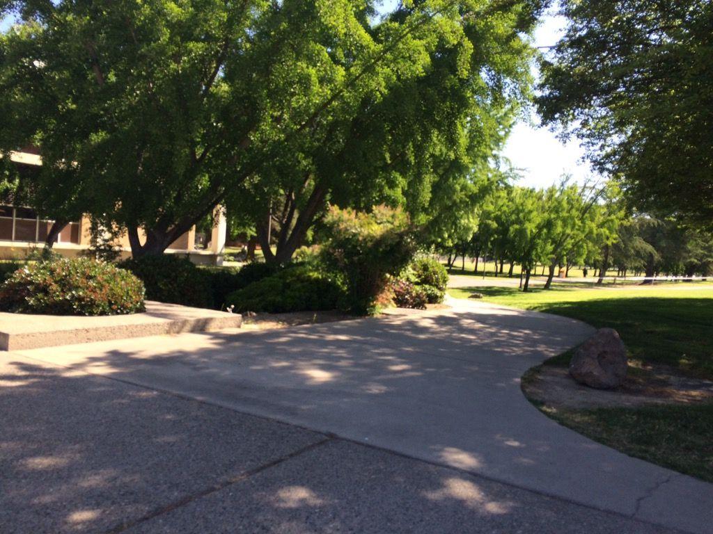 Winding walking path leading towards Bizzini