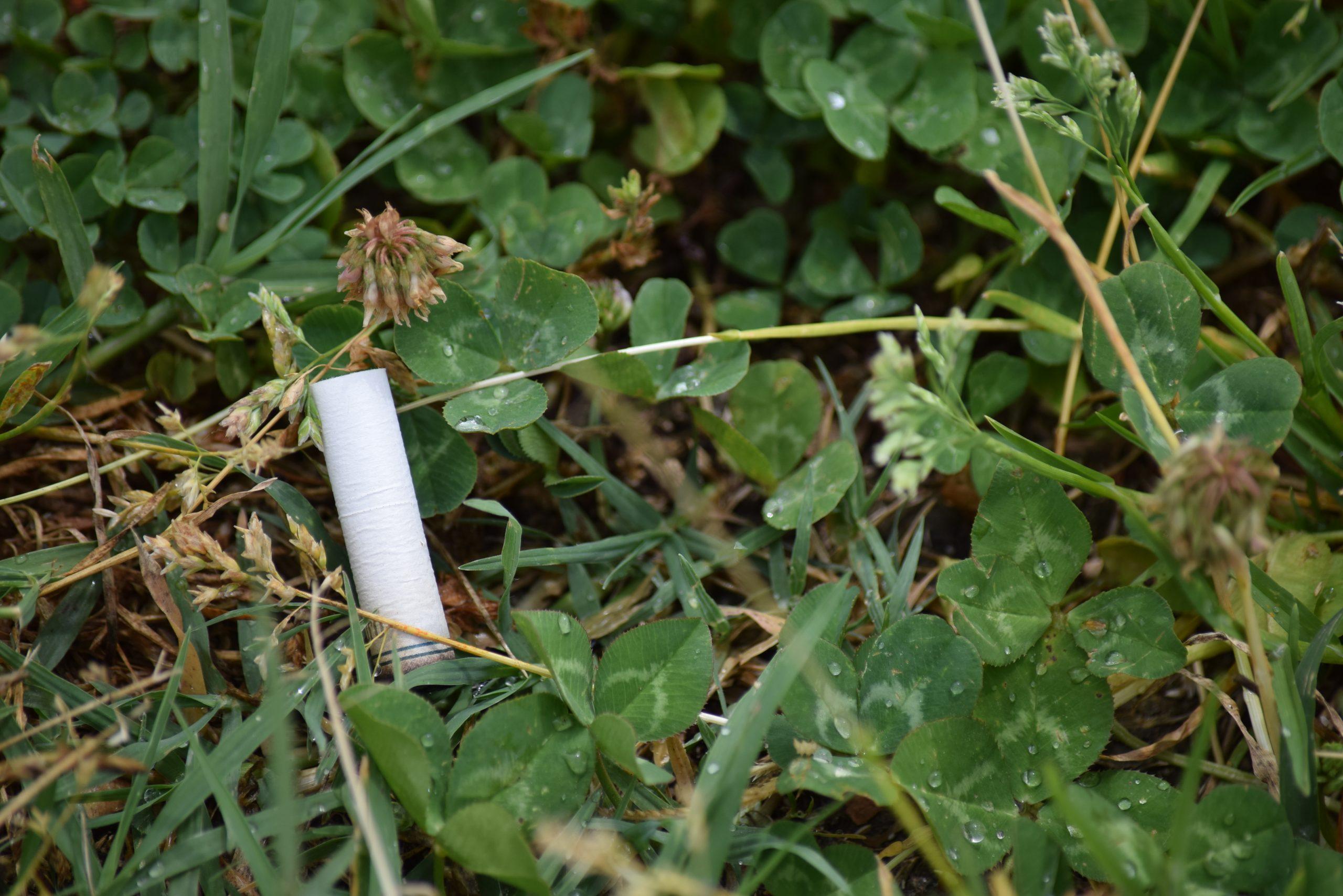 Ridding butts on campus: Peer Health Educators Program sets an Earth Day campus clean-up