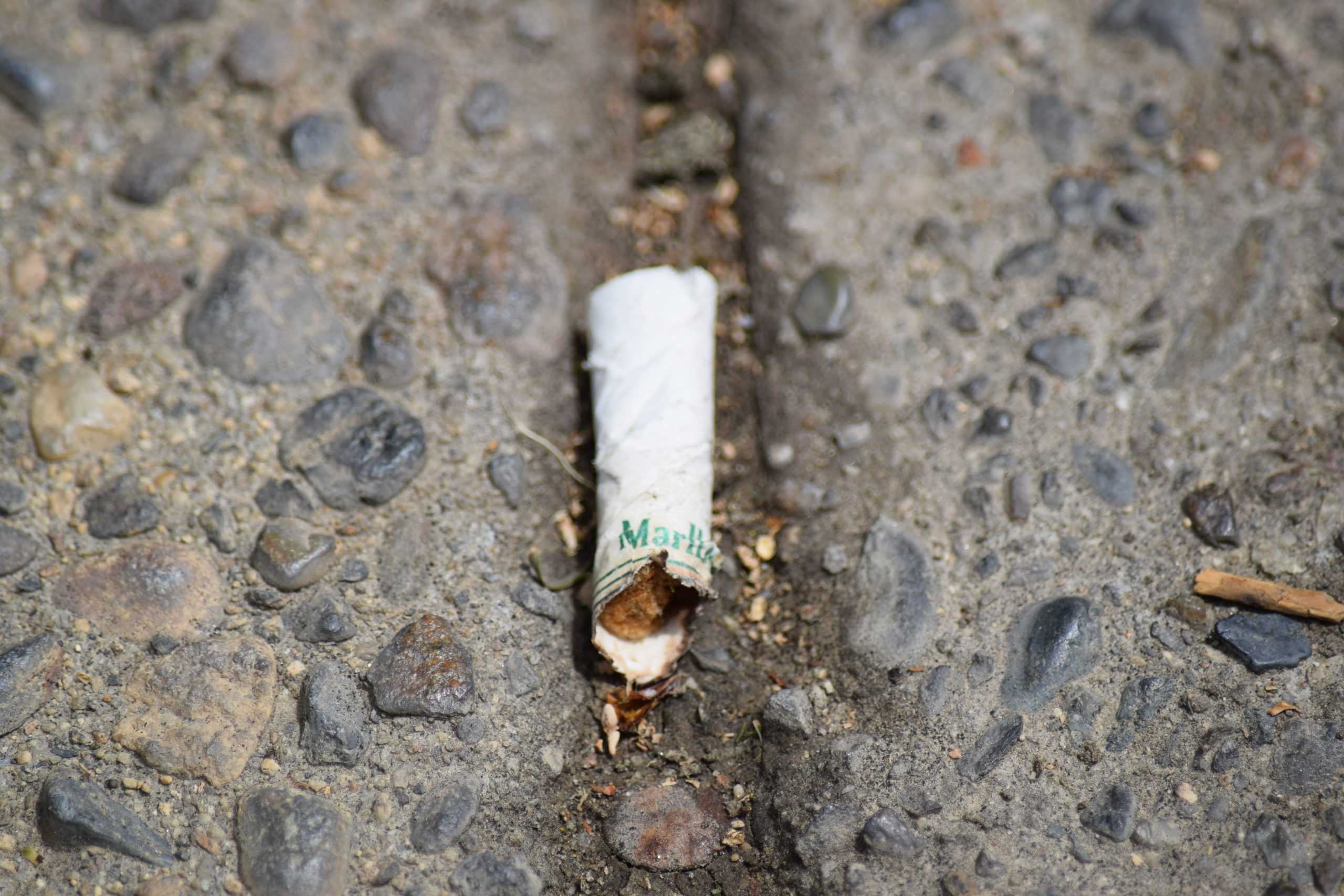 Ridding butts on campus: Peer Health Educators Program sets an Earth Day campus clean-up