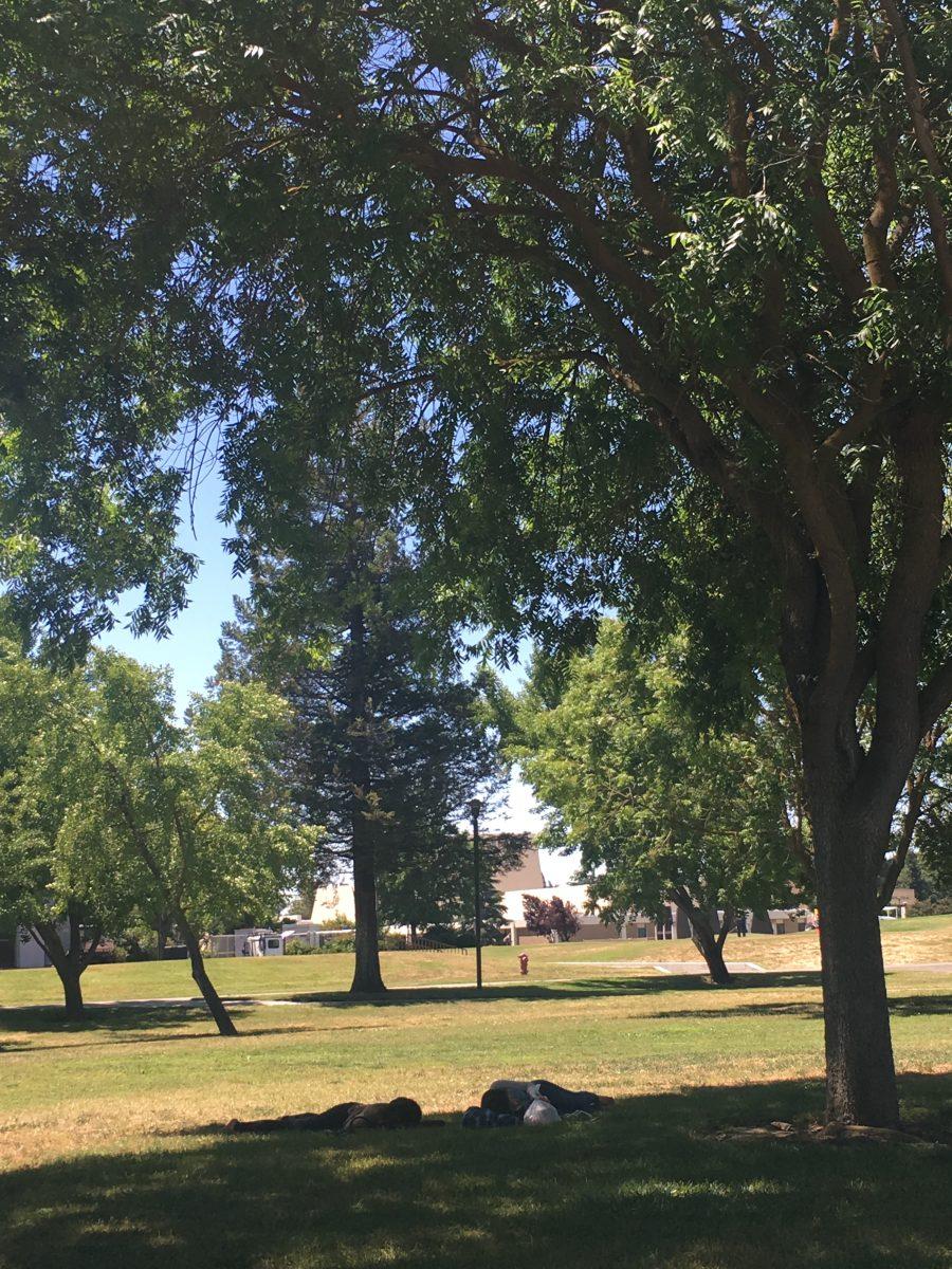 California State University, Stanislaus (Stan State) students can be seen taking naps around campus.