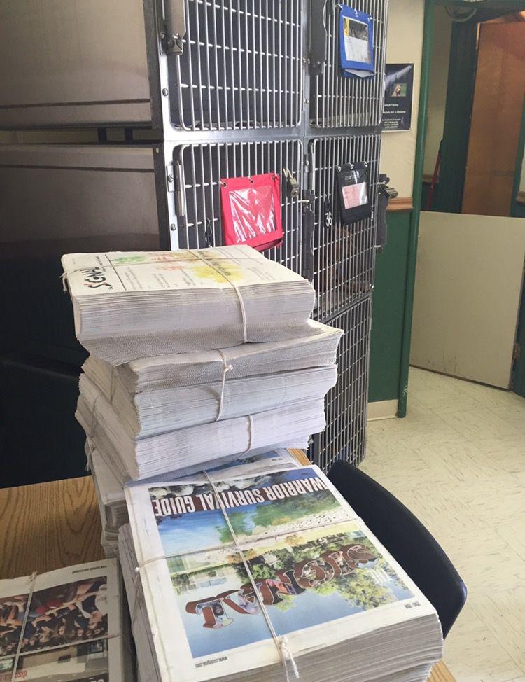 The Signal team visits the Turlock Animal Services Shelter