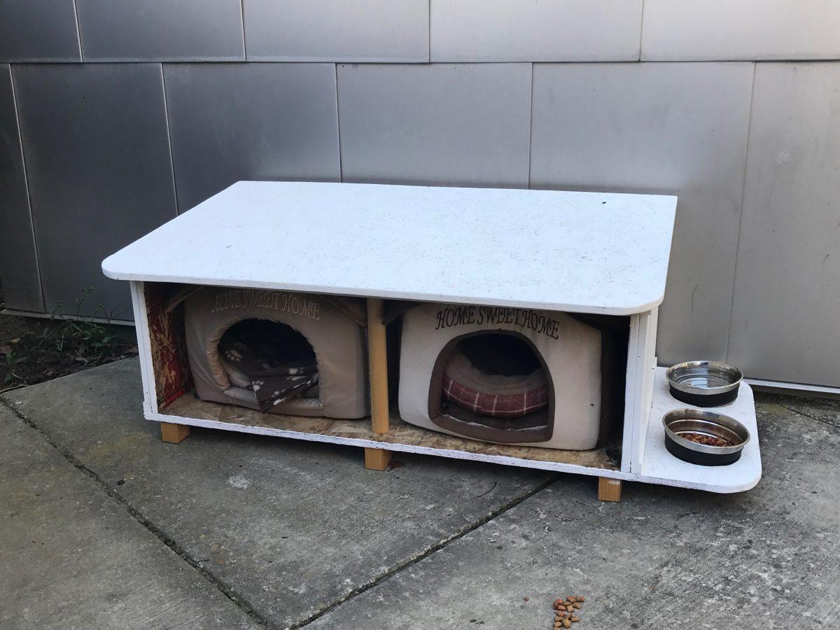 This is one of the cats' house that is located by the MSR Building. (Signal Photo/Vanessa Olmos)