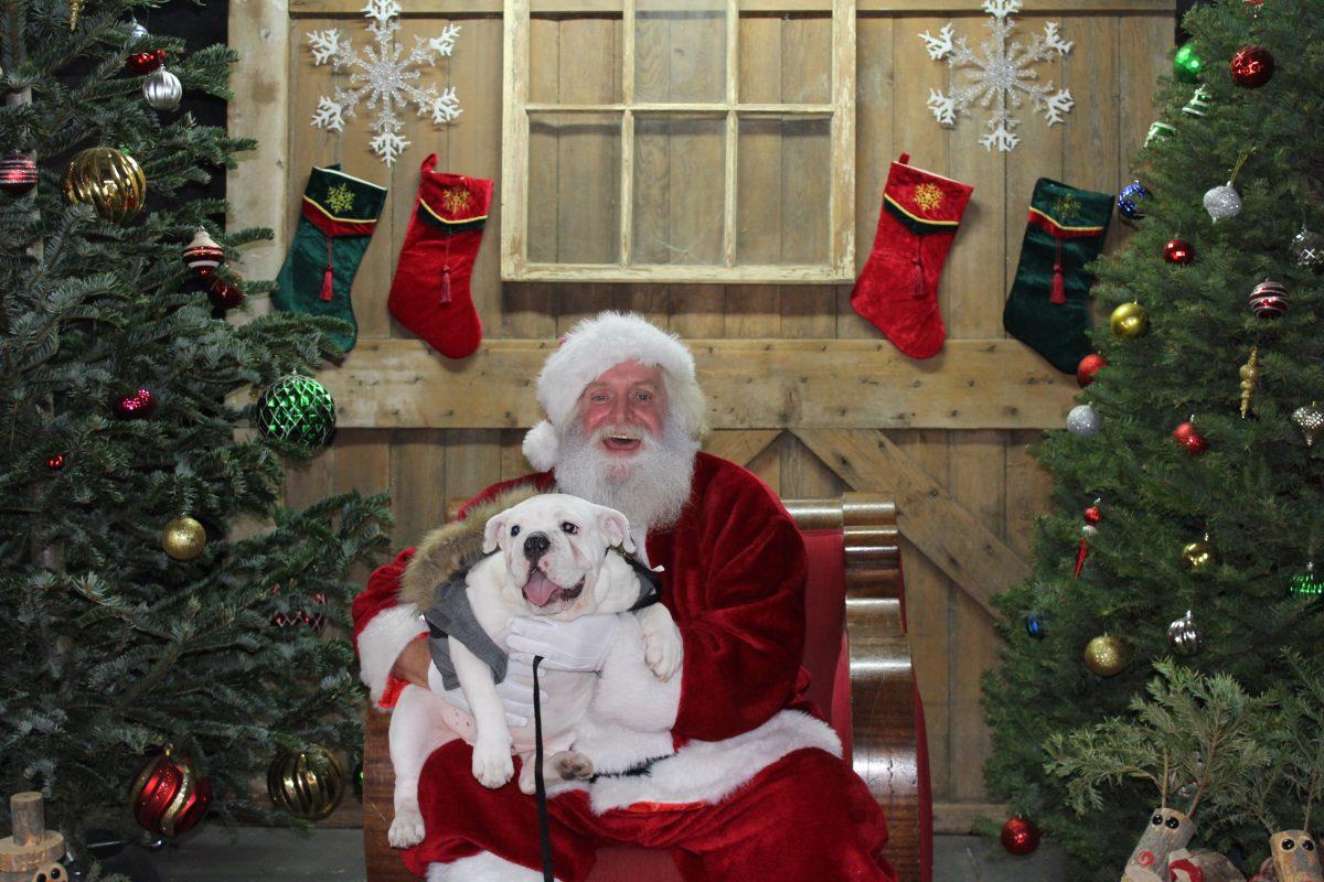 Santa poses with this lucky puppy during "Photos with Santa." (Photo courtesy of&#160;Karen Macedo)