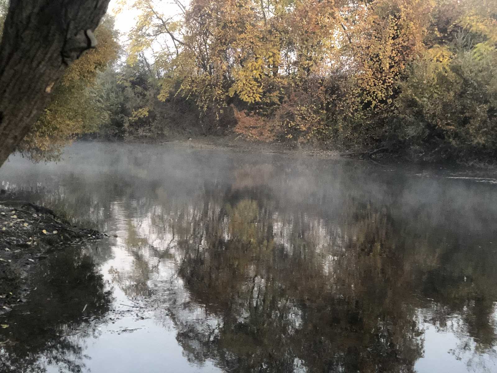 Volunteers Help Keep Stanislaus River Clean