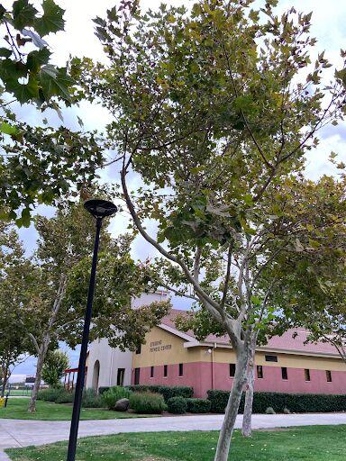 Stanislaus State's Campus Recreation center has reopened and is hosting workout events every week. (Photo by Amann Ghuman)