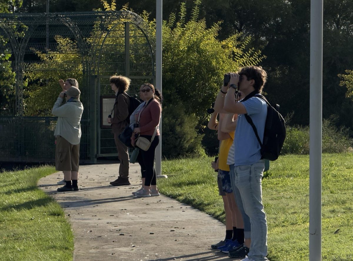 Attendees looking out for birds