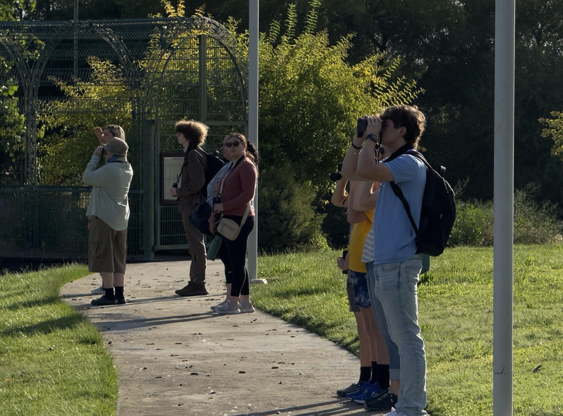 Attendees looking out for birds