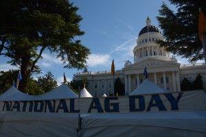 Tents and booths were set up at the west steps of the Capitol Building in Sacramento to celebrate National Ag Day.Anthony Johnson/The Signal