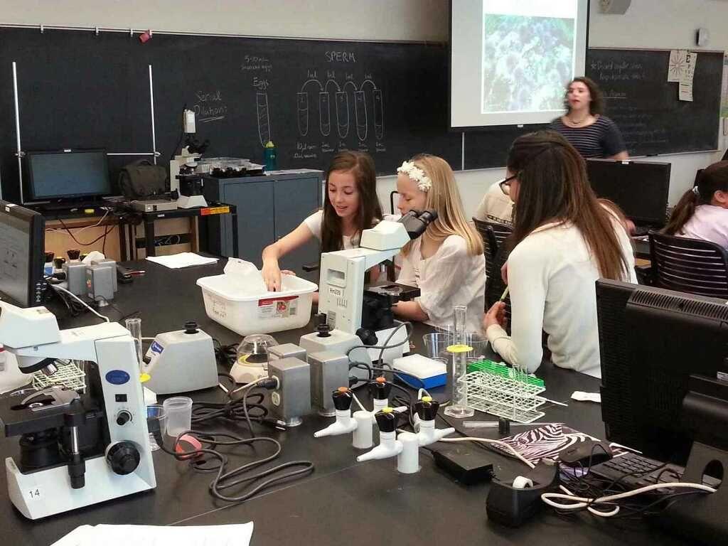 Science Saturday: Sea Urchin Fertilization Lab