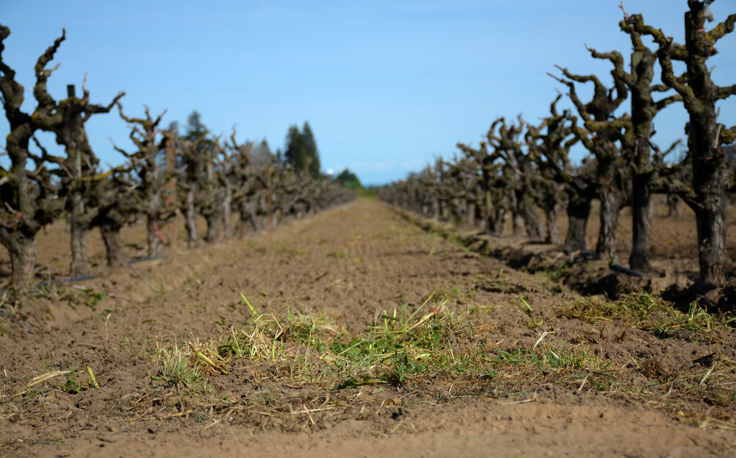 From Zero to 20, California farmers allocated increase in water supply