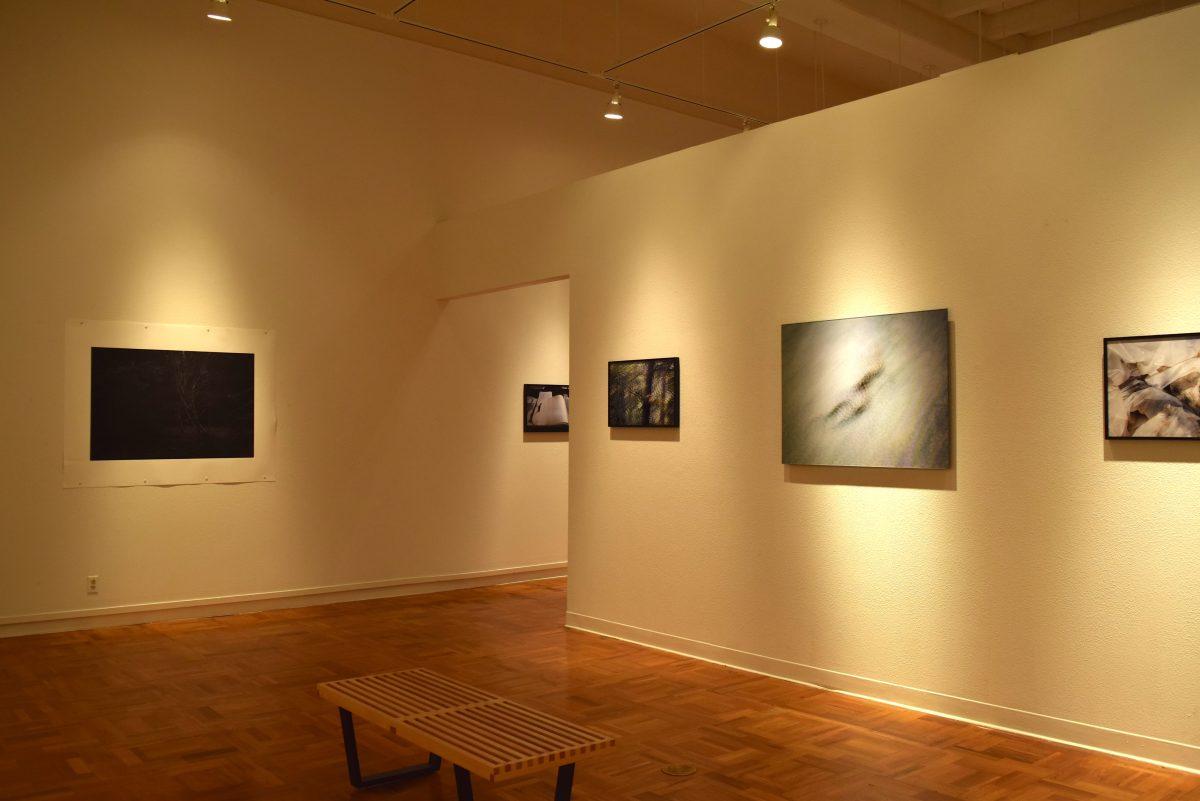 Wilson's "A Lonely Hunter" exhibit in the University Art Gallery