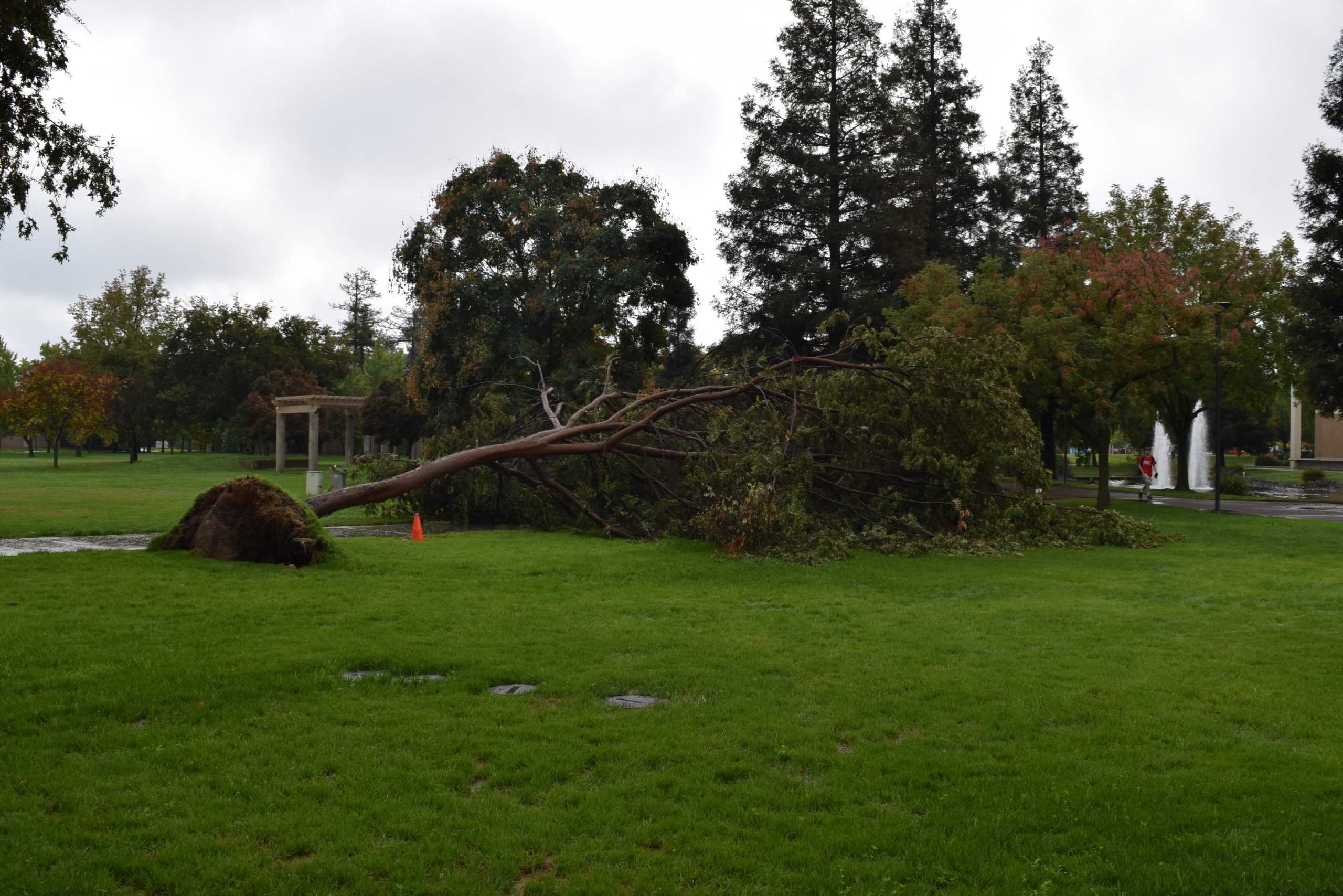 Rain causes inconvenience for Stan State students