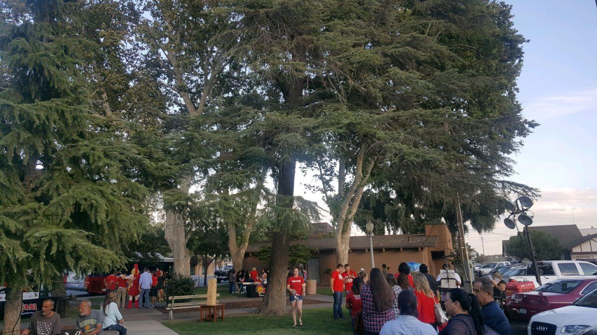 Stan State Warriors gathered around at Central Park to explore Downtown Turlock. (Signal Photo/Jyoti Dhanota)