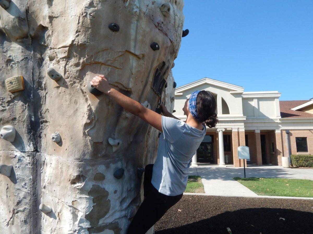 Miriam Sanchez (senior, Kinesiology) searching for the next climbing hold to get higher on the rock. (Signal Photo/Jesus Valdez)