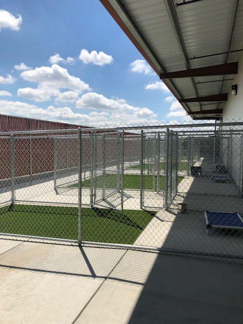 Turlock's Top Notch Kennels Staff Offers Sweet Suites for Dogs