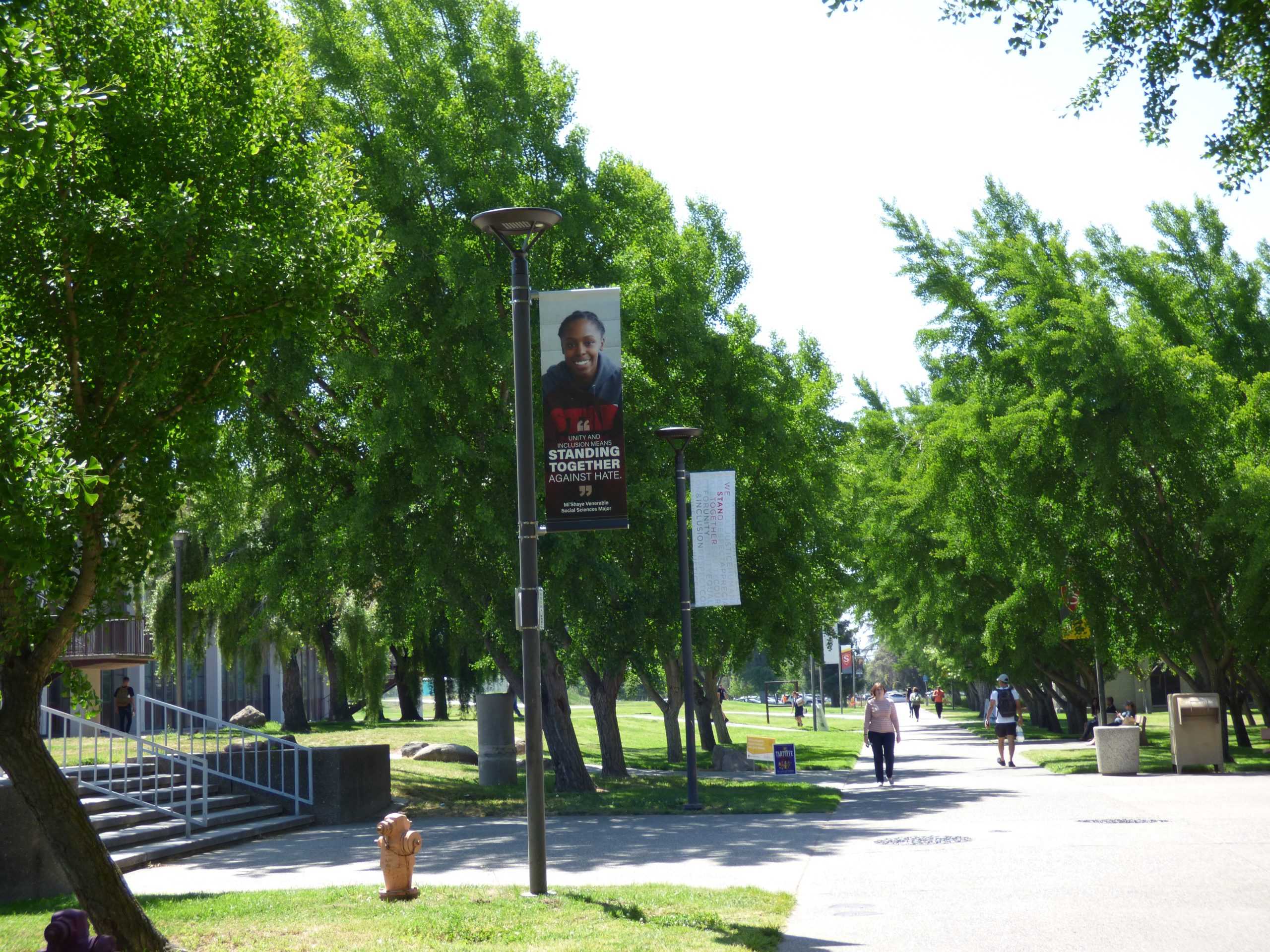 Campus Flags: Diversity Edition