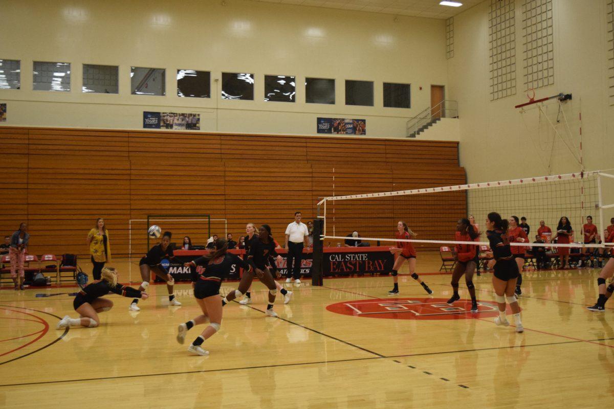 The Stanislaus State Warriors playing volleyball at CSU East Bay.