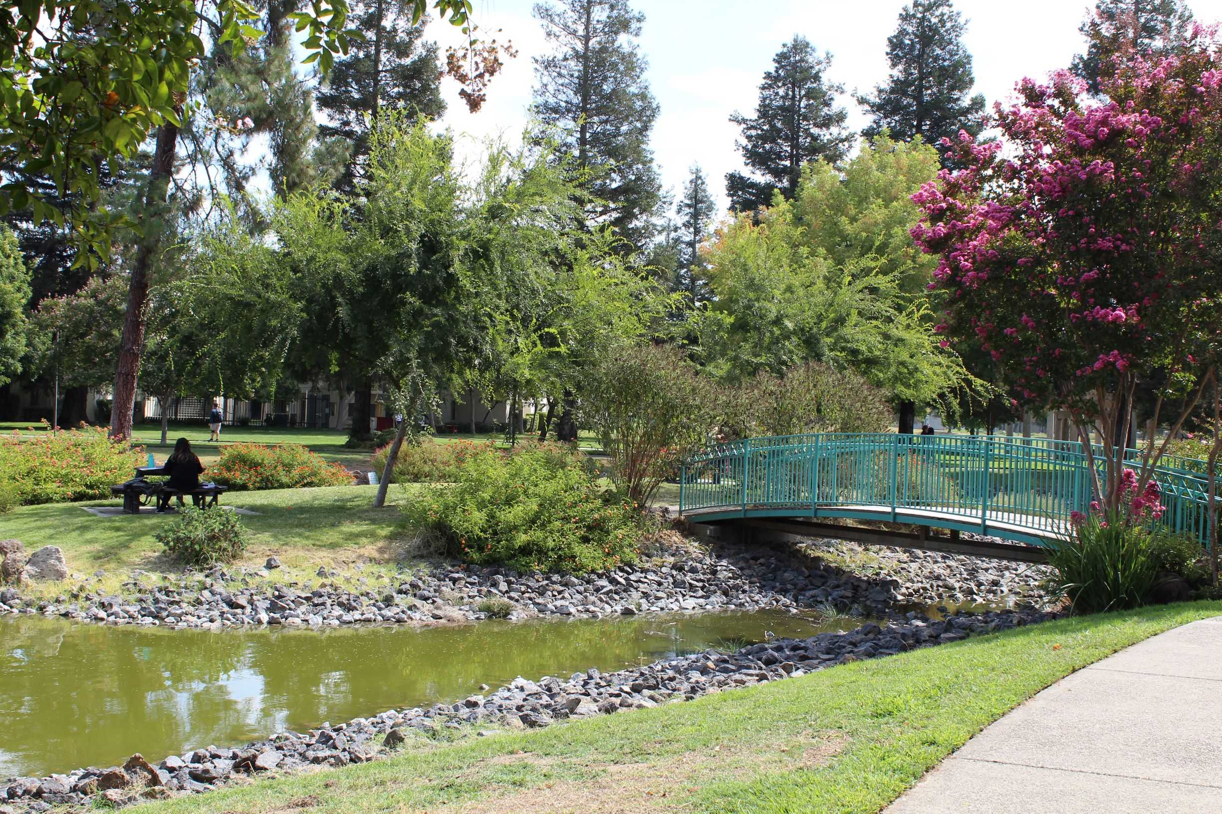 5 Scenic Places to Study on Campus