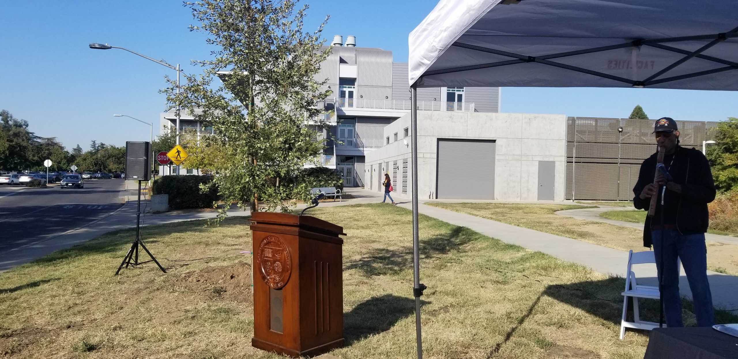 Oak Trees Serve as a Symbol of Unity and Appreciation Towards Indigenous Community