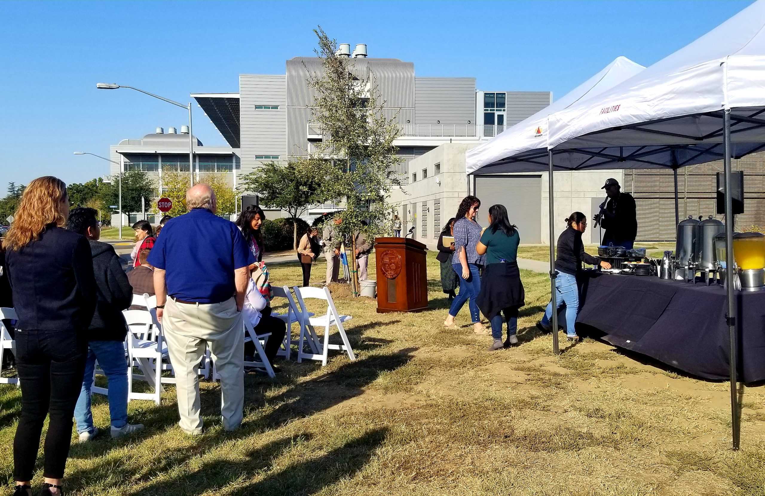 Oak Trees Serve as a Symbol of Unity and Appreciation Towards Indigenous Community