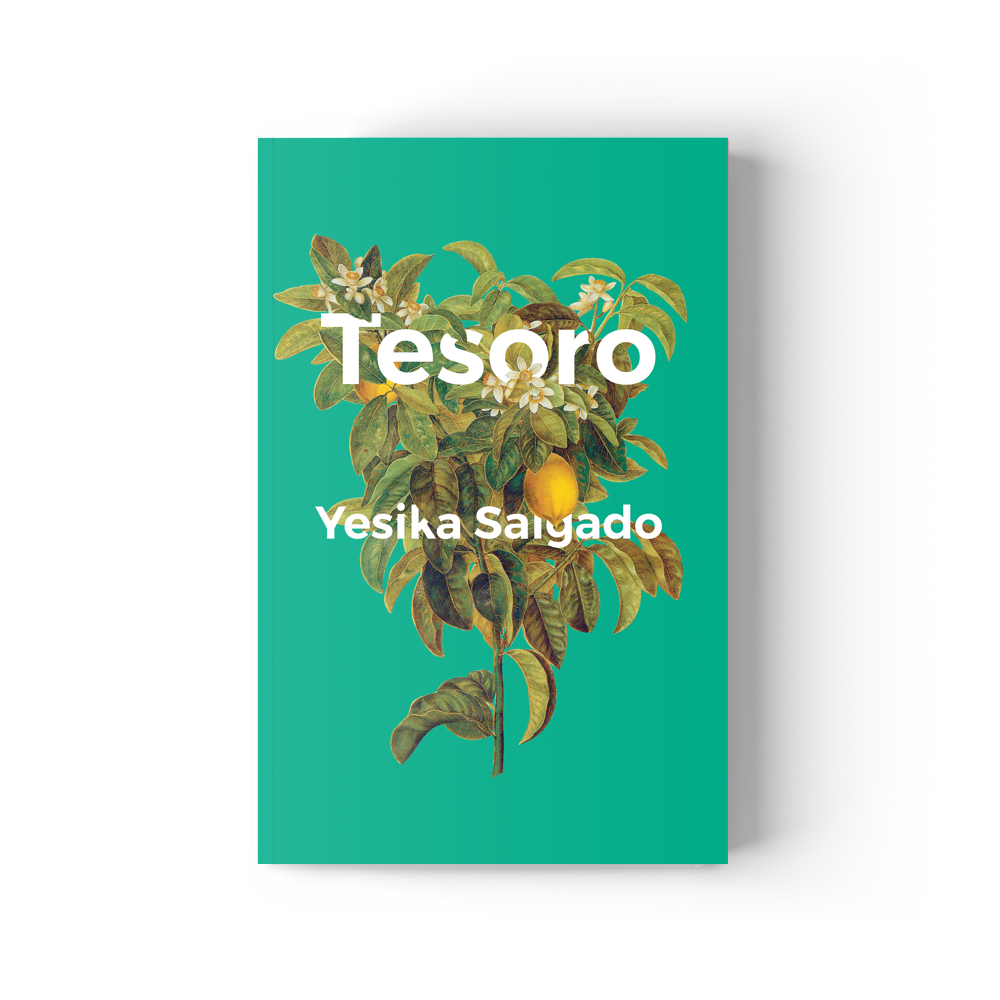 Social Justice Book Club's March Feature - Hermosa by Yesika Salgado