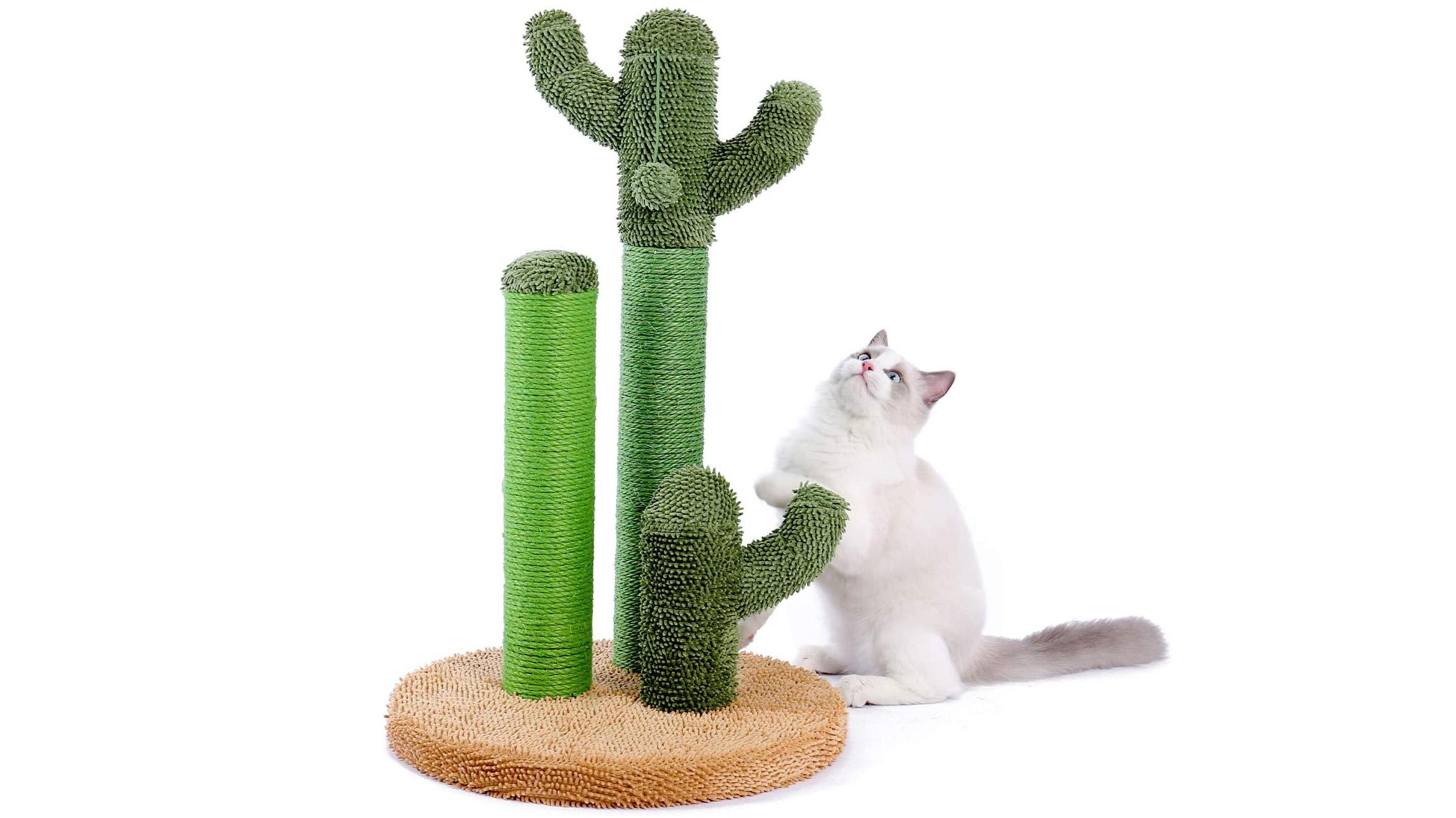 Fun Scratchers For Your Cat