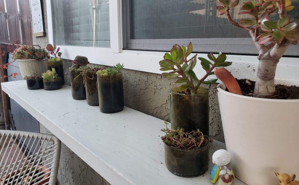 Earth Day is meant to be creative in helping our environment, and small things like refurbishing glass bottles into pots for plants is a great start! (Photo by Courtney Rodrigues)&#160;