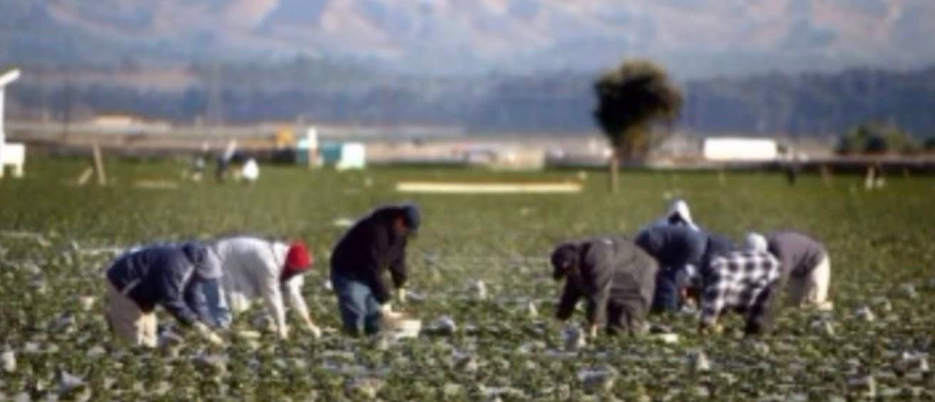 Annual "&#161;Si Se Puede!" Celebration Recognizes Farmworker Resilience During COVID