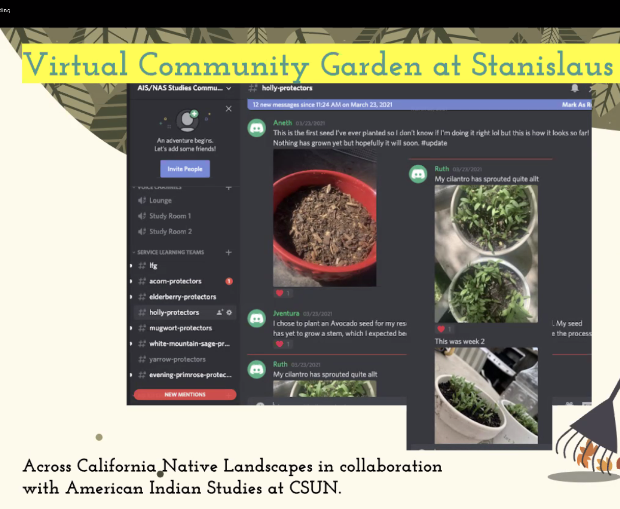 An inside look at our very own sustainable garden on campus