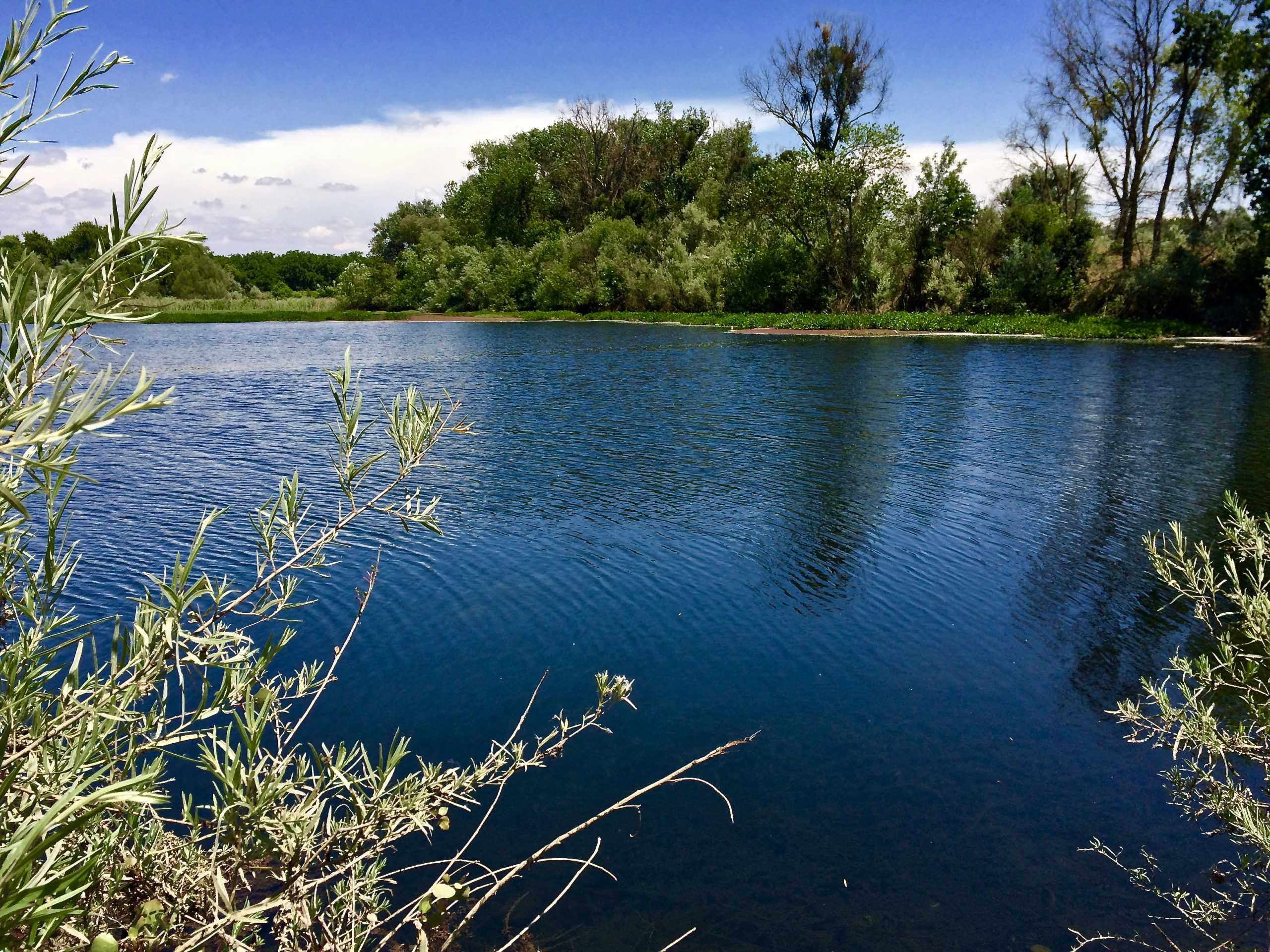 Escape The Heat This Summer: Tips on River Floating