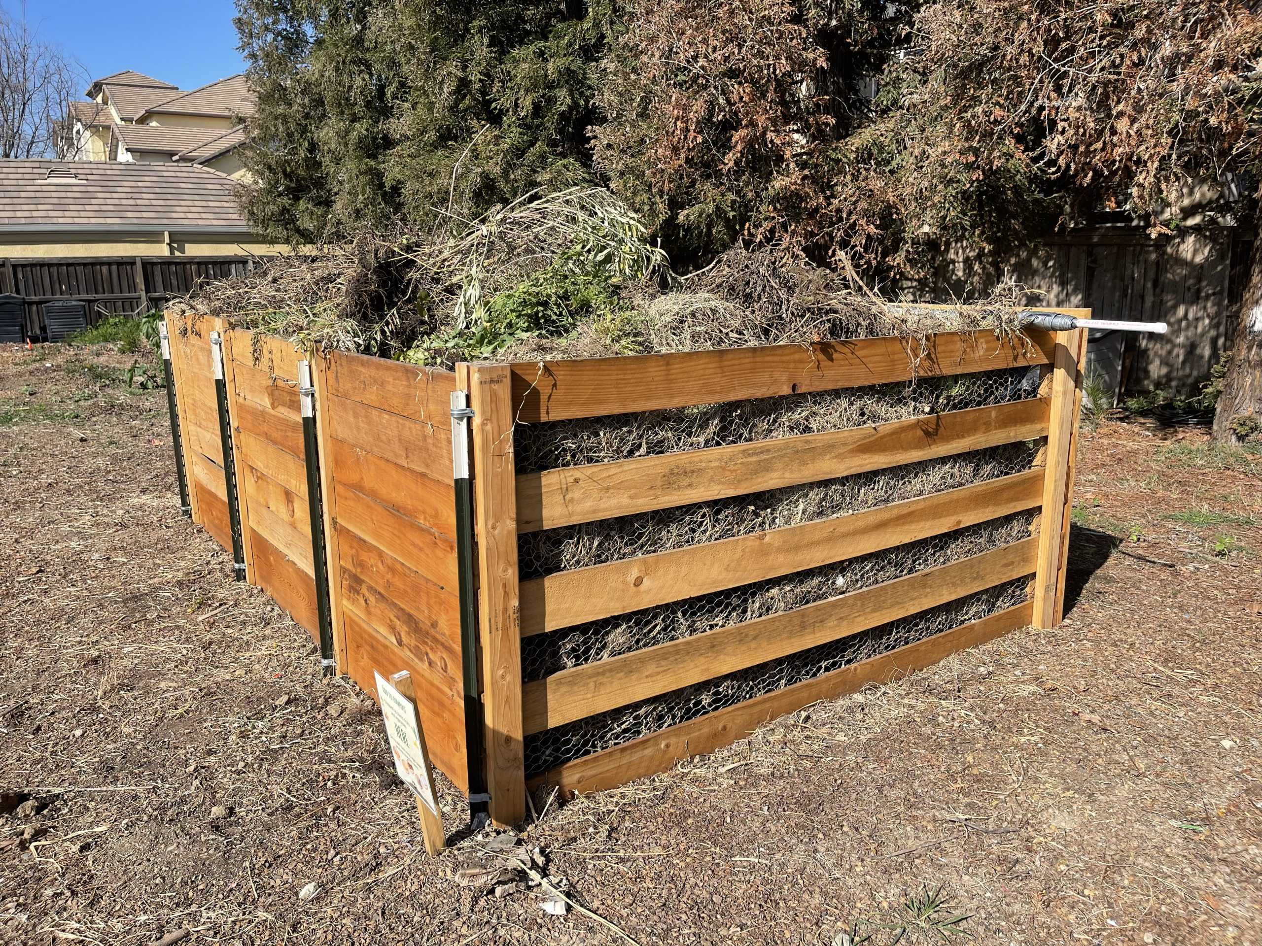 Turlock Community Garden Offers Helpful Tips and Beautiful Scenery