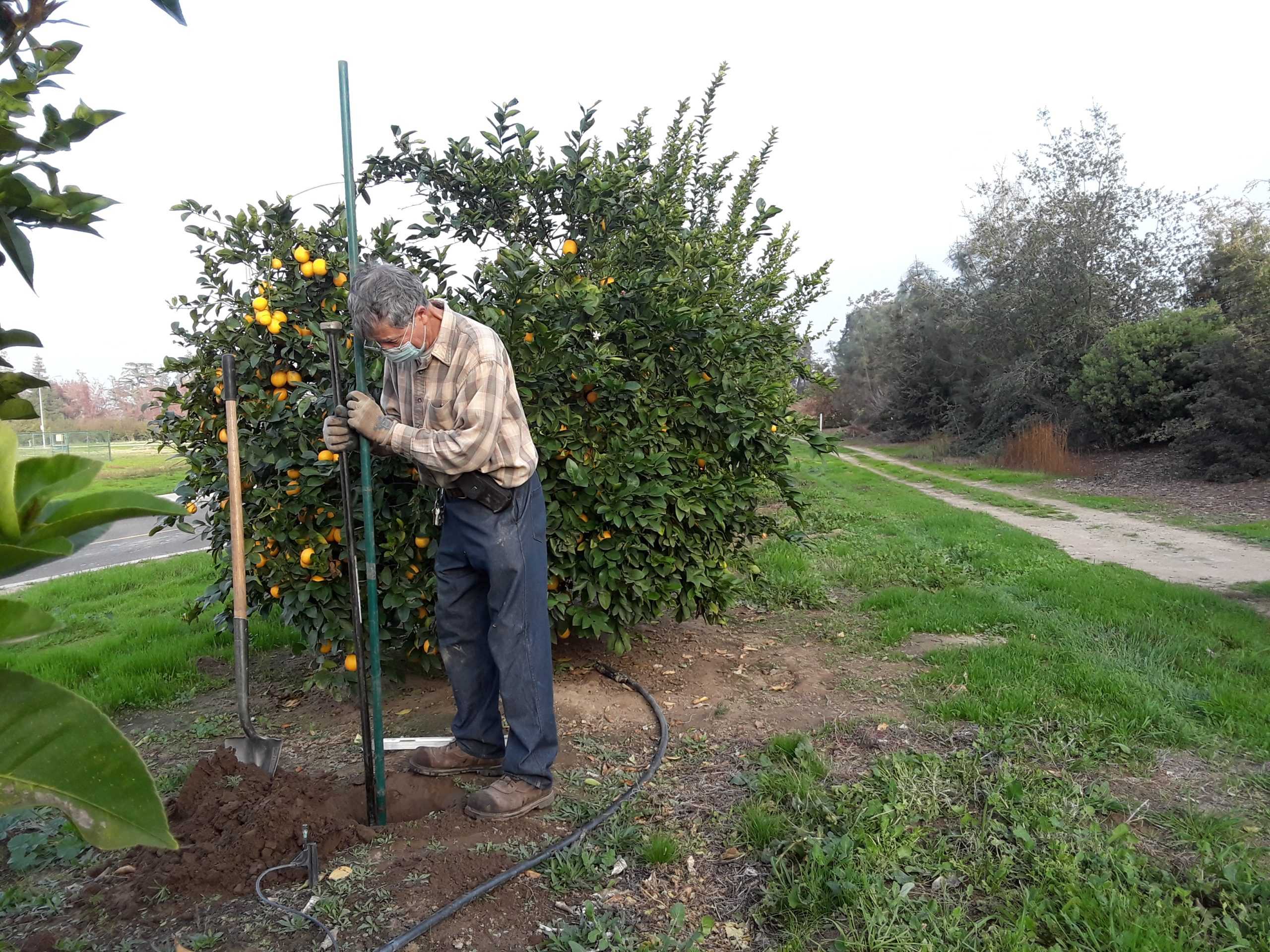 New Signage Deters Thieves at Stan State's Orchards