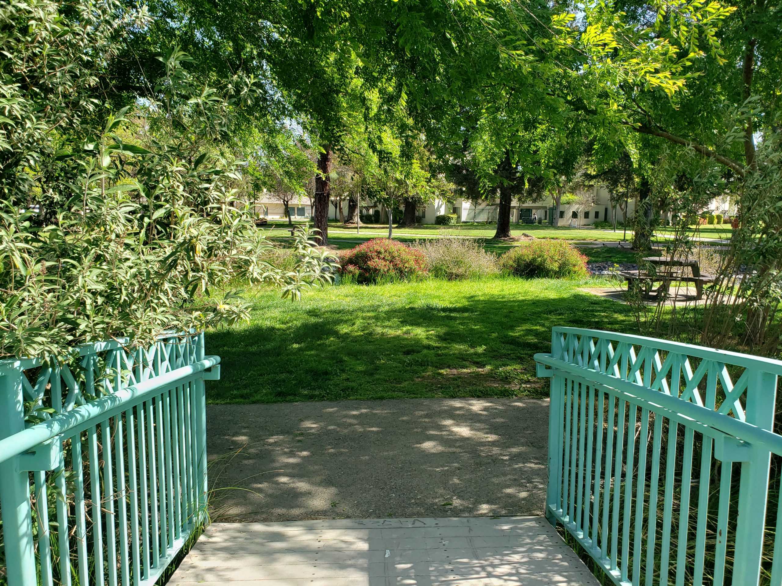 Bridge Scenes: Views from Stan State&#8217;s Bridges