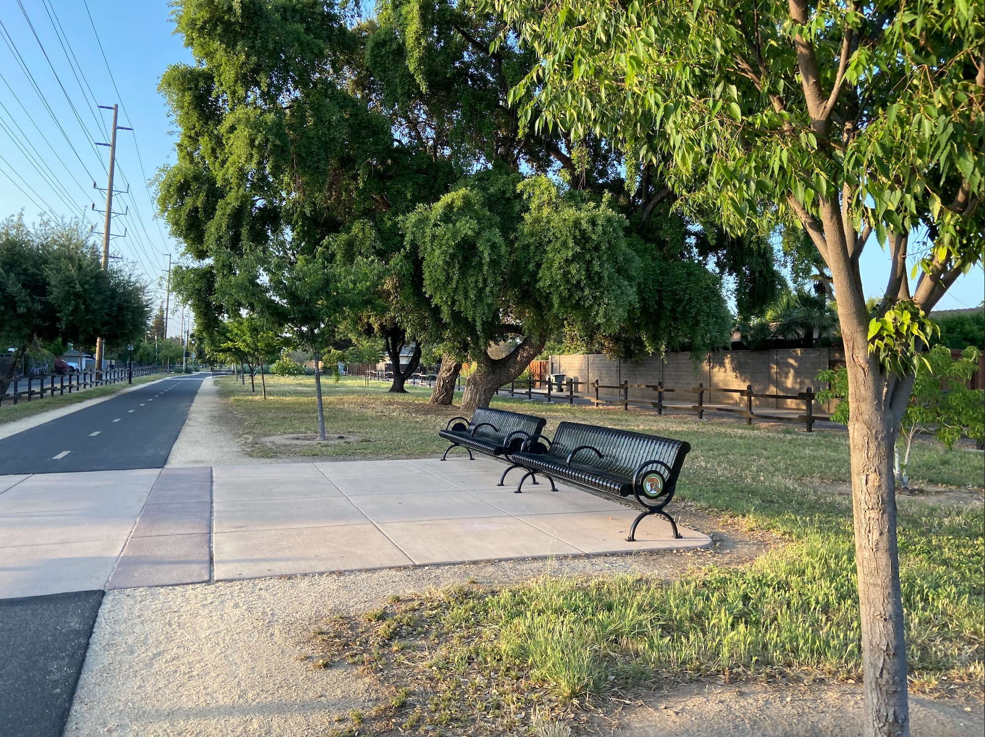 From Daily Walks to Running Paths: Exploring Modesto's Virginia Corridor Trail