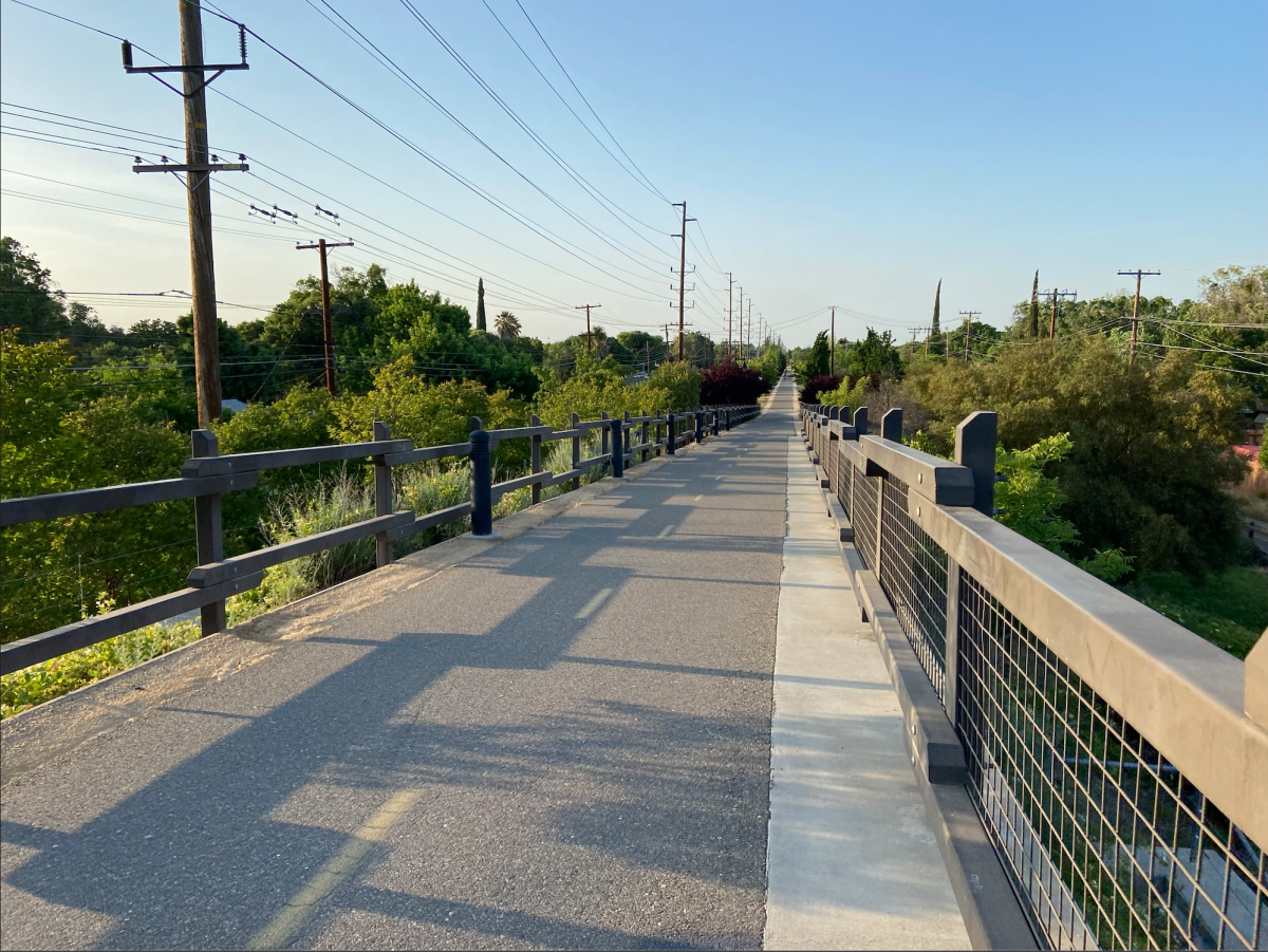 The Virginia Trail overpass. (Signal Photo/Selena Estrada)&#160;