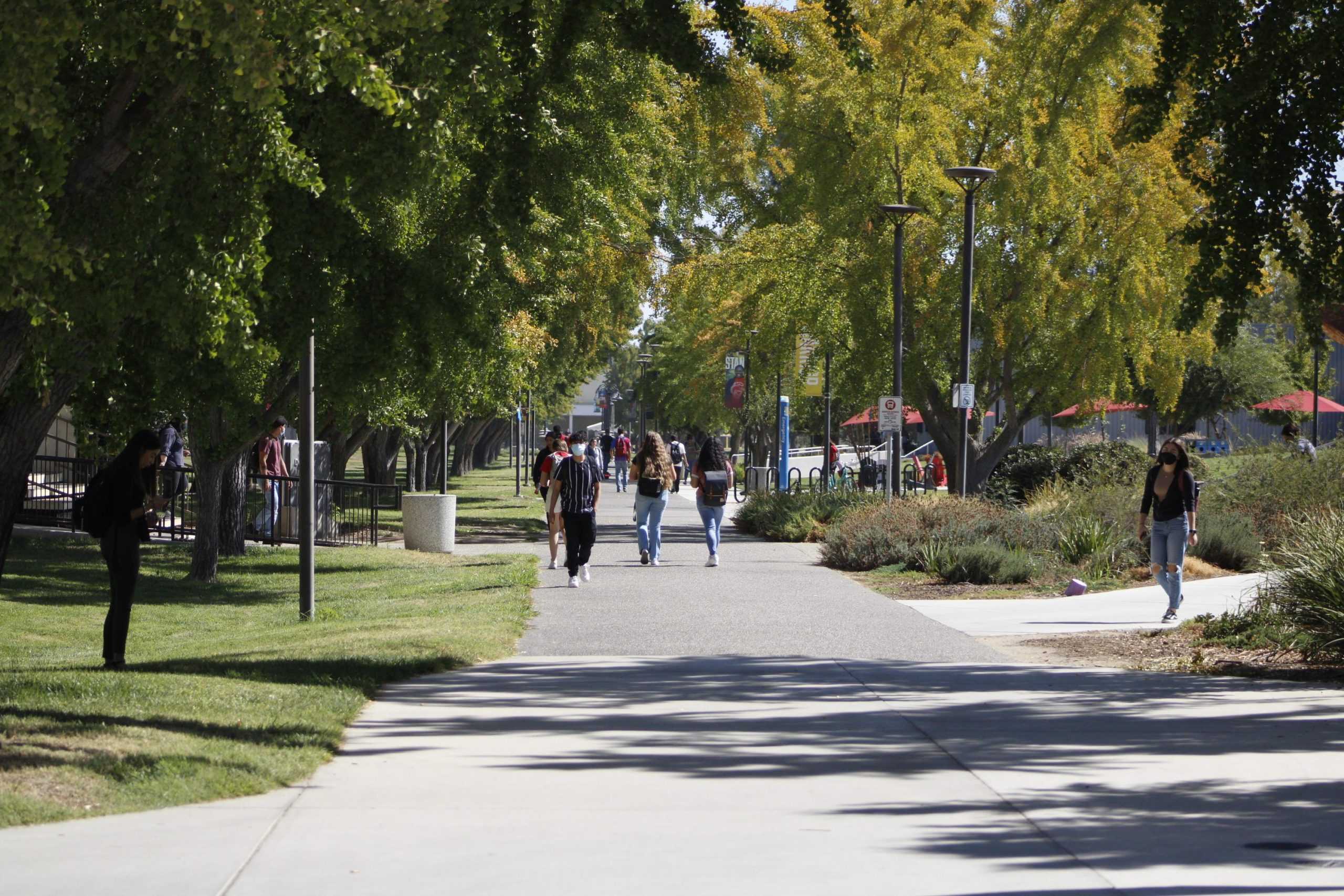 Back to Campus: Excitement or Anxiety?