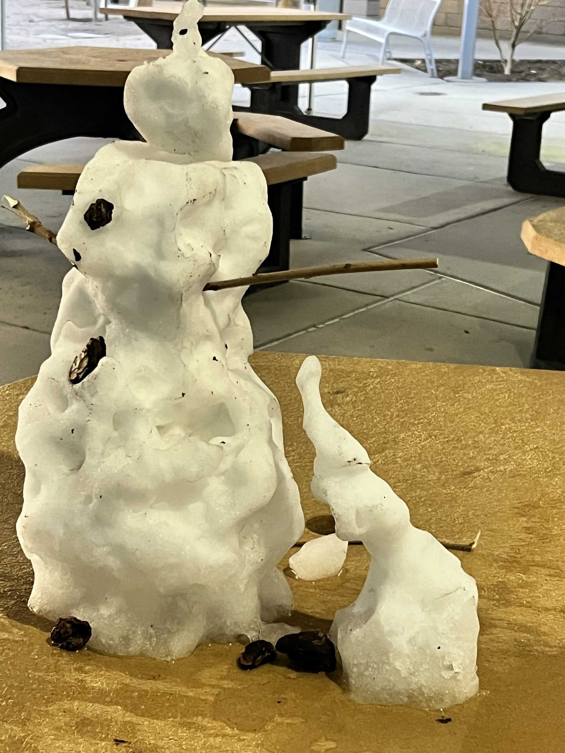 Snowmen Draw Crowds on Campus