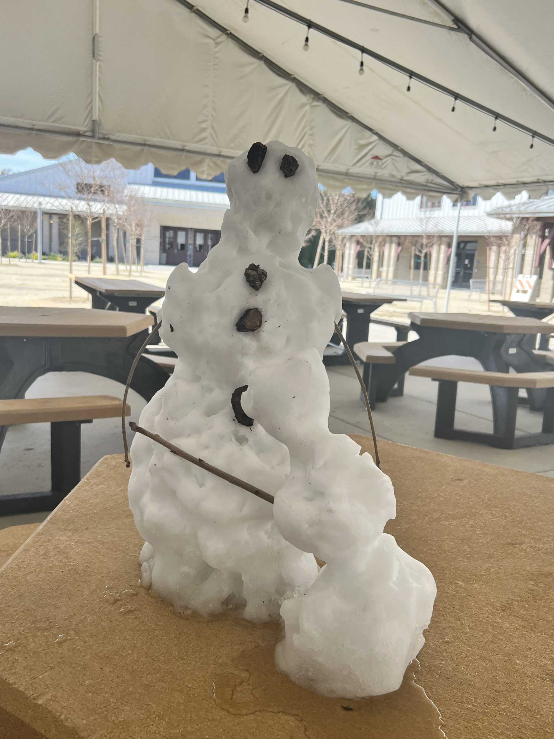 Snowmen Draw Crowds on Campus