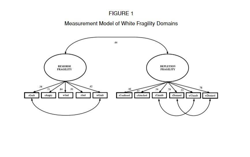 Graduate Student Organizes Zoom Presentation on White Fragility