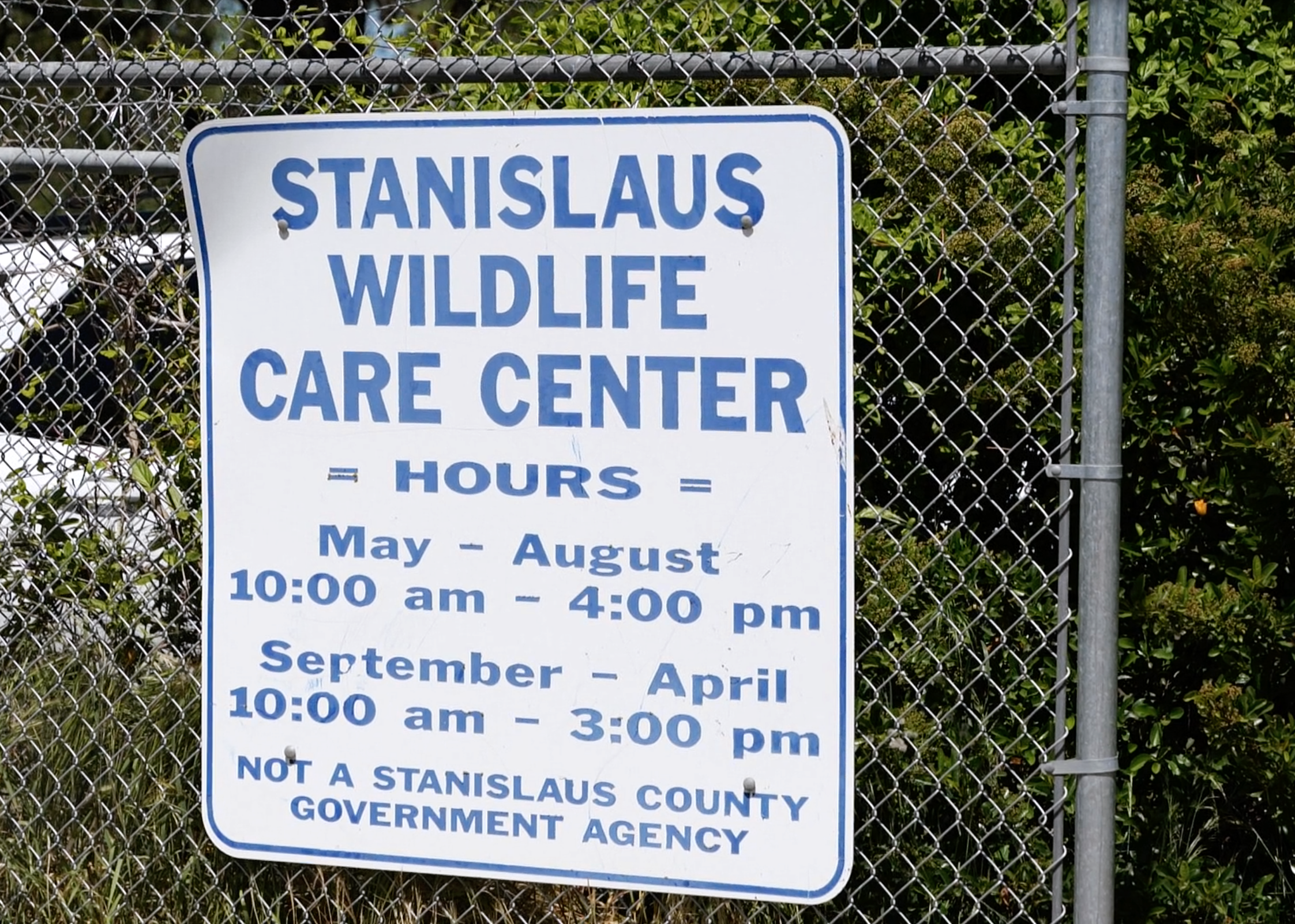 Stanislaus Wildlife Care Center Hosts &#8216;Baby Animal Shower&#8217;