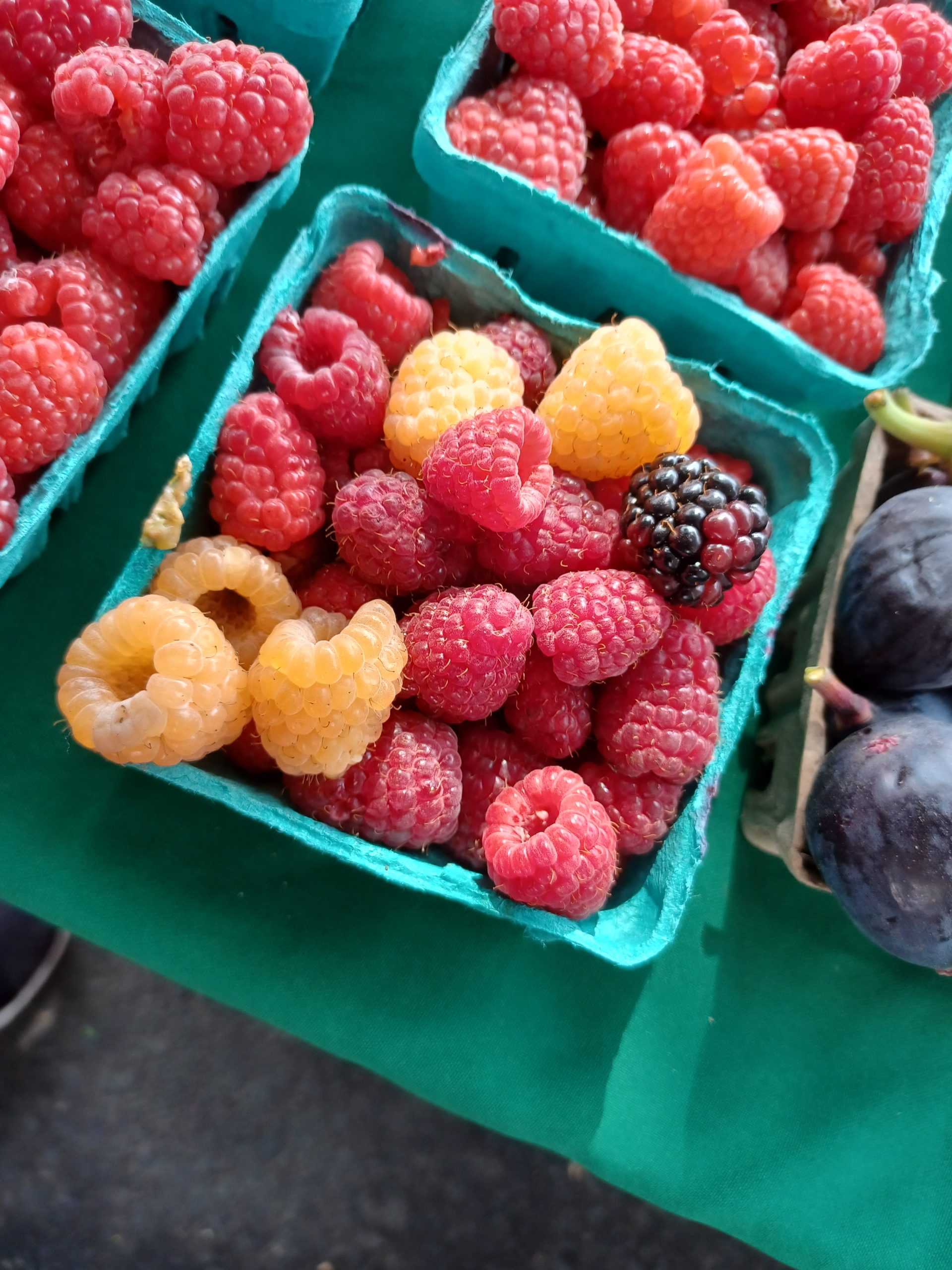 Meet the Vendors of the Turlock Farmer's Market