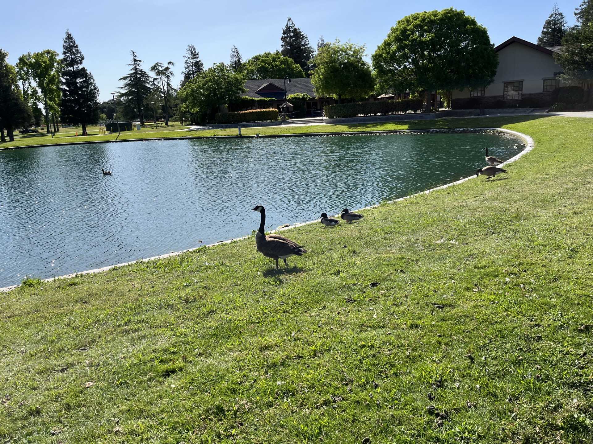 Admire and Learn about the Local Wildlife in Stan State's Guided Bird Walk