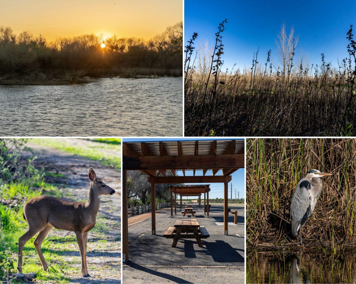 Photos of Dos Rios State Parks scenery and wildlife. (Photos provided by California State Parks)
