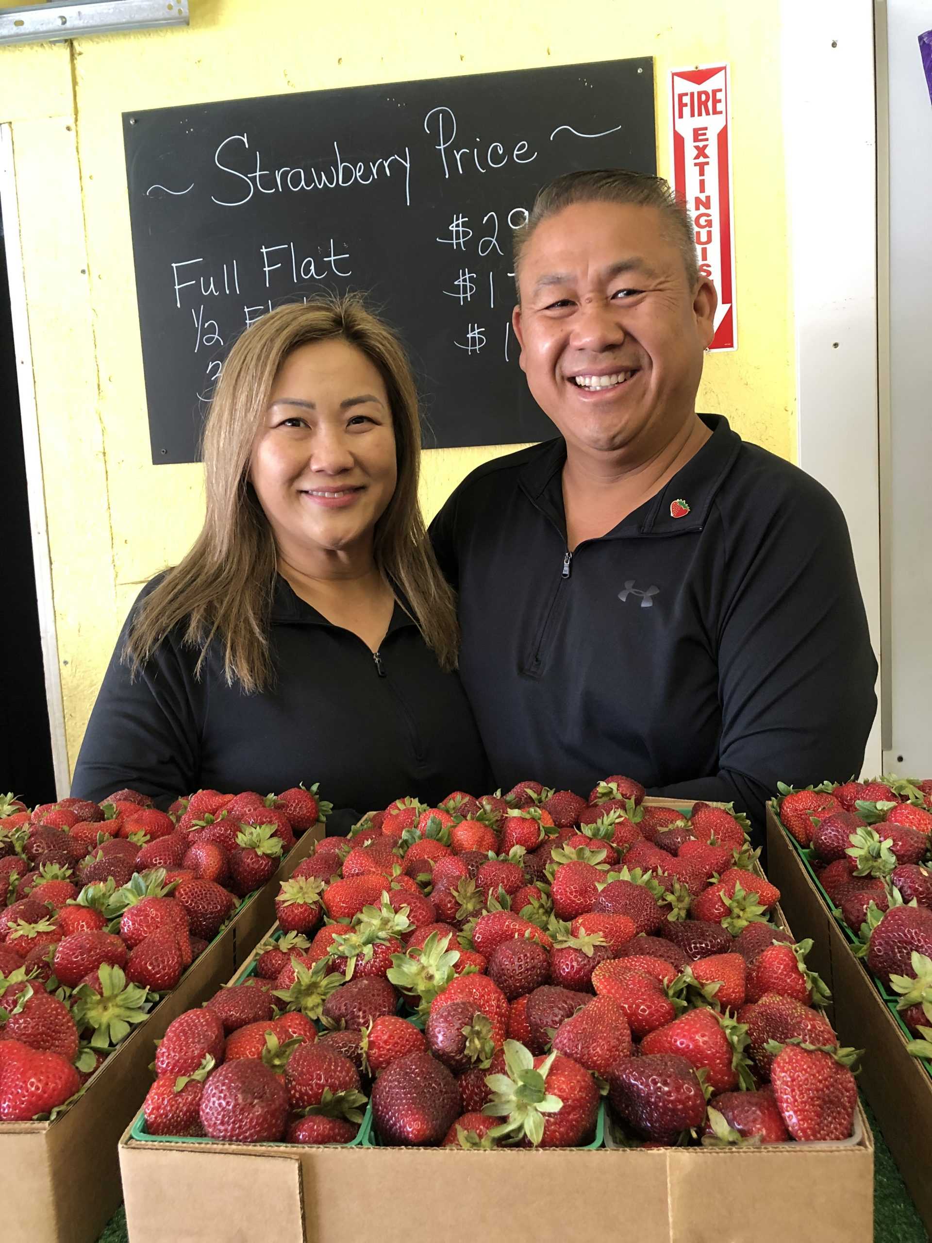 Picking Perfection: Inside Bee Yang and Dua Moua's Strawberry Patch