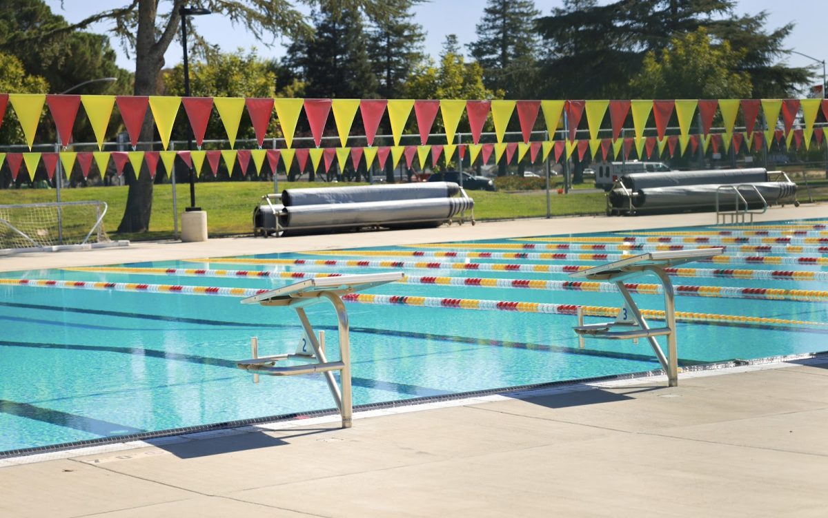 The aquatics center at Stan State's gym, where 30-minute Swimming 101 and Paddle Boarding classes are available Monday through Friday.