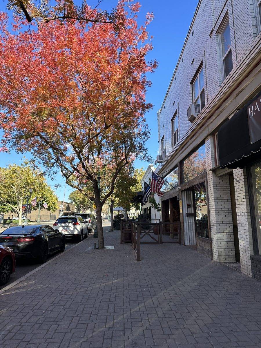 Image of the sidewalk and some of the local businesses of downtown Turlock.